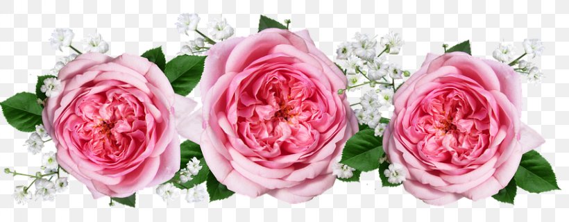 Garden Roses Cabbage Rose Cut Flowers Flower Bouquet, PNG, 871x340px, Garden Roses, Artificial Flower, Cabbage Rose, Cut Flowers, Floral Design Download Free
