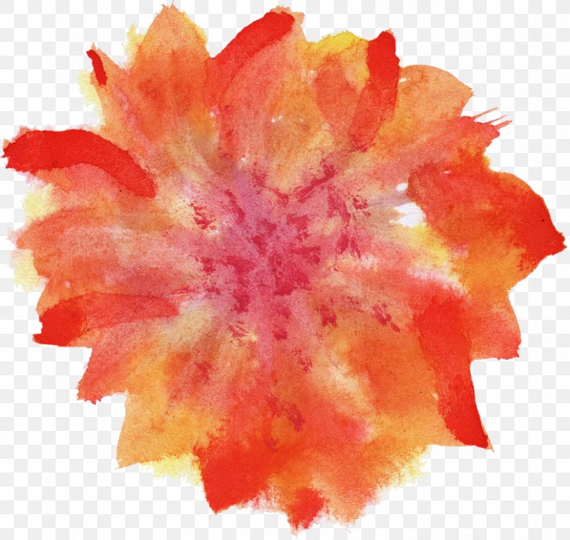 Watercolour Flowers Watercolor Painting, PNG, 847x803px, Watercolour Flowers, Color, Digital Media, Flower, Leaf Download Free
