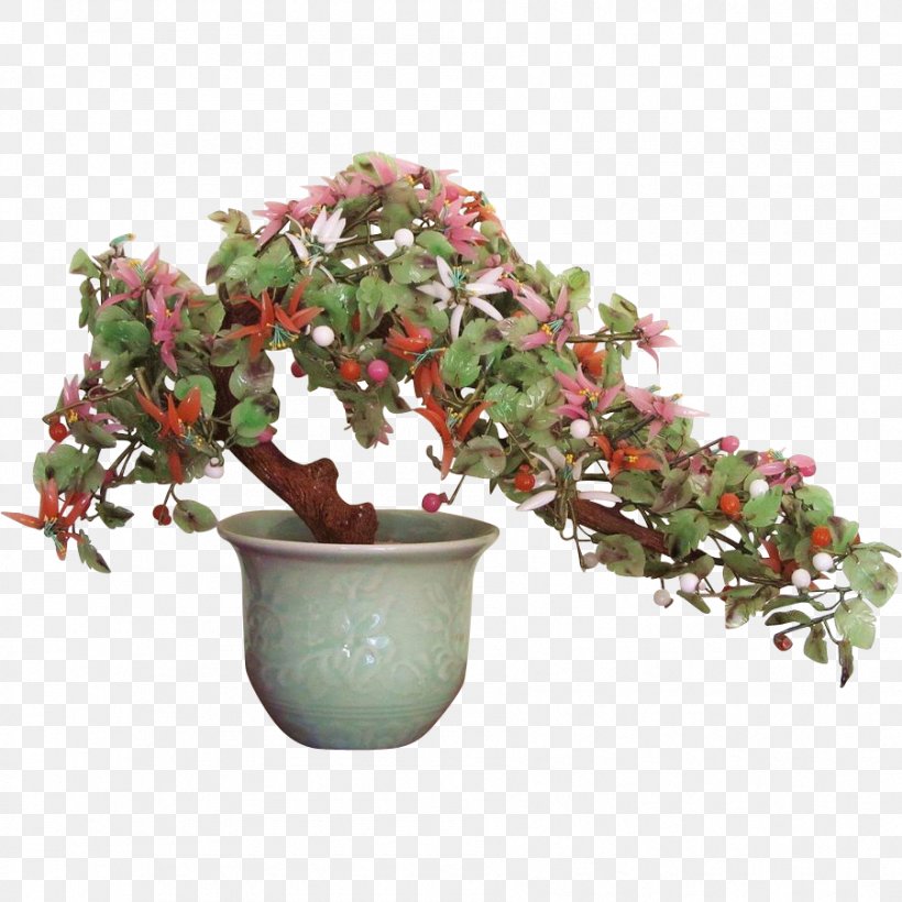 Jade Plant Chinese Jade Tree Bonsai, PNG, 901x901px, Jade Plant, Bonsai, Branch, Chinese Jade, Flower Download Free