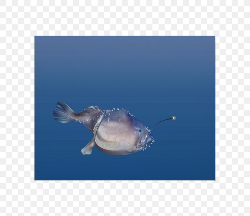 Marine Biology Clownfish Marine Mammal Ocean, PNG, 709x709px, Marine Biology, Biology, Child, Clownfish, Fauna Download Free