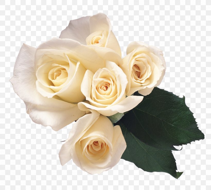 Rose White, PNG, 1000x900px, Rose, Artificial Flower, Clipping Path, Cut Flowers, Dots Per Inch Download Free
