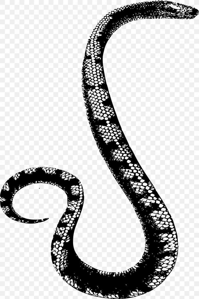 Snakes Clip Art Reptile Vipers Boa Constrictor, PNG, 1596x2400px, Snakes, Black Rat Snake, Boa Constrictor, Eastern Diamondback Rattlesnake, Elapid Snakes Download Free