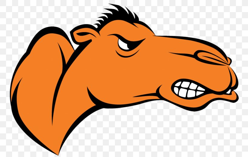 Campbell University Campbell Fighting Camels Women's Basketball Campbell Fighting Camels Men's Basketball Campbell Fighting Camels Football Division I (NCAA), PNG, 768x518px, Campbell University, Area, Artwork, Beak, Big South Conference Download Free