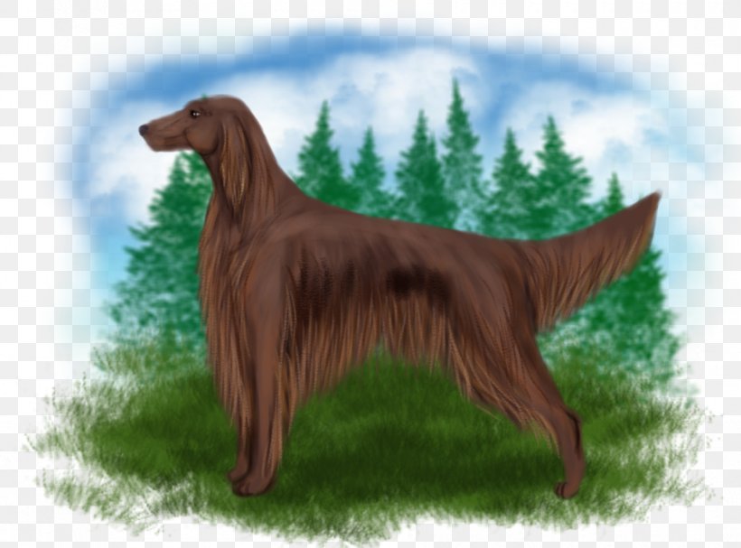 Irish Setter Flat-Coated Retriever Dog Breed Companion Dog, PNG, 900x667px, Irish Setter, Breed, Carnivoran, Companion Dog, Dog Download Free