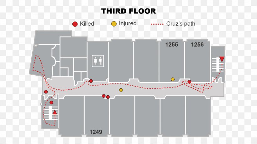 Marjory Stoneman Douglas High School Douglas High School Shooting 2017 Las Vegas Strip Shooting Newtown School Shooting, PNG, 1601x901px, Watercolor, Cartoon, Flower, Frame, Heart Download Free