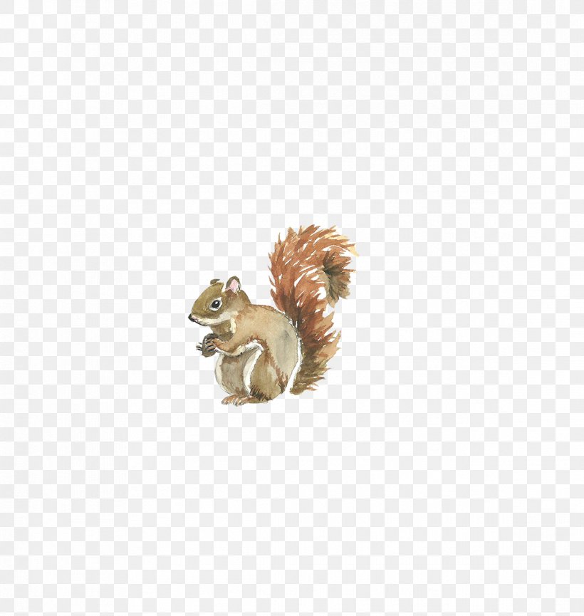 Squirrel Watercolor Painting Illustration, PNG, 1169x1234px, Squirrel, Animal, Body Jewelry, Cartoon, Flooring Download Free