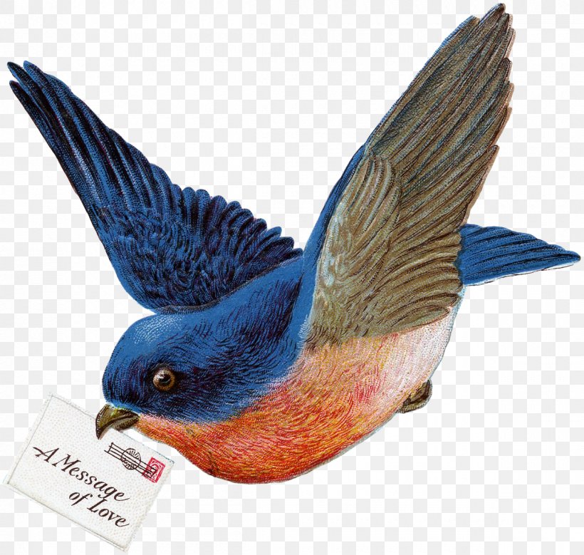 Bluebirds Passerine Parrot Beak, PNG, 1200x1140px, Bluebirds, Beak, Bird, Bird Nest, Bluebird Download Free
