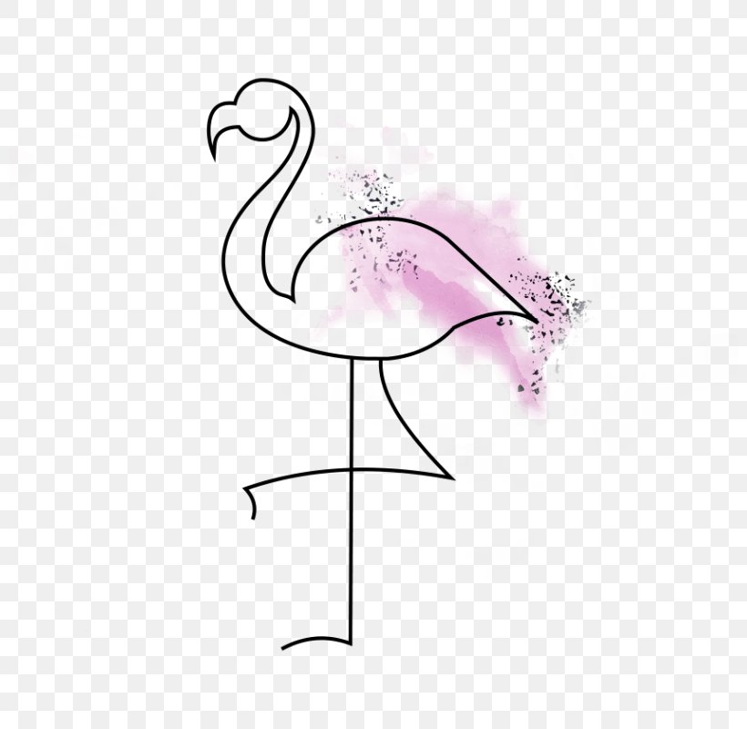Pink M Feather Beak, PNG, 800x800px, Pink M, Beak, Bird, Feather, Flamingo Download Free