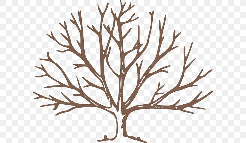 Tree Free Content Clip Art, PNG, 600x477px, Tree, Branch, Drawing, Free Content, Graphic Arts Download Free