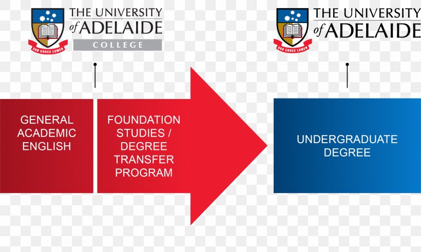 University Of Adelaide Business Management Academic Degree, PNG, 2225x1333px, University Of Adelaide, Academic Degree, Adelaide, Brand, Business Download Free