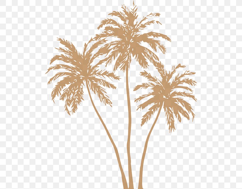 Arecaceae Silhouette Clip Art, PNG, 516x642px, Arecaceae, Areca Palm, Arecales, Branch, Coconut Download Free