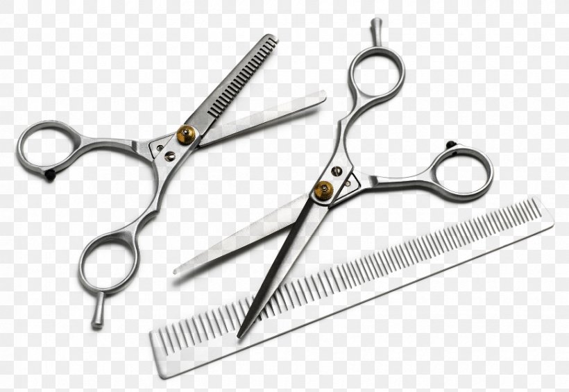Comb Hairdresser Scissors Image, PNG, 870x600px, Comb, Beauty, Blog, Cosmopolitan, Fashion Download Free