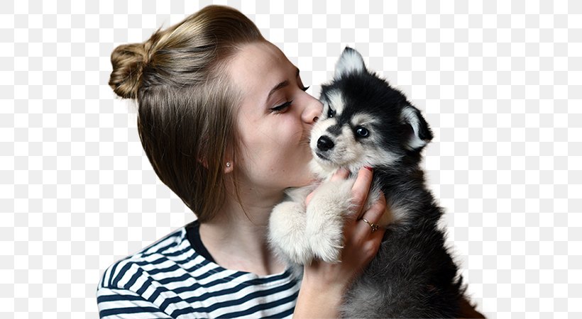 Dog Breed Puppy Companion Dog Skin, PNG, 567x450px, Dog Breed, Breed, Carnivoran, Companion Dog, Dog Download Free