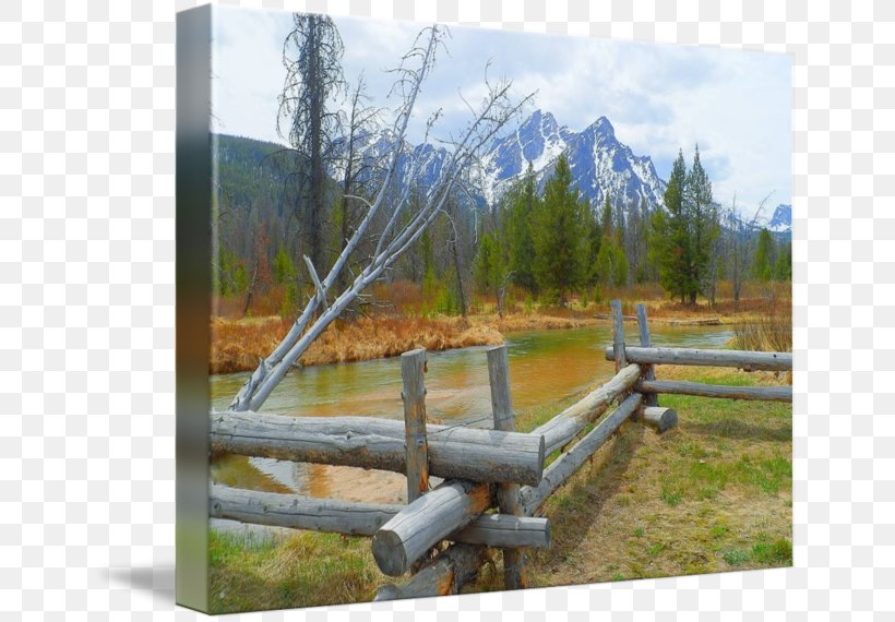 Fence State Park, PNG, 650x570px, Fence, Grass, Landscape, Outdoor Structure, Park Download Free