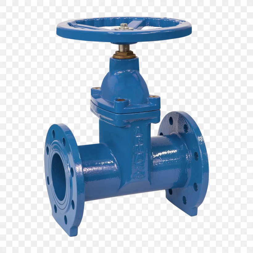Gate Valve Nenndruck Ductile Iron Pump, PNG, 1000x1000px, Gate Valve, Ball Valve, Business, Butterfly Valve, Cast Iron Download Free