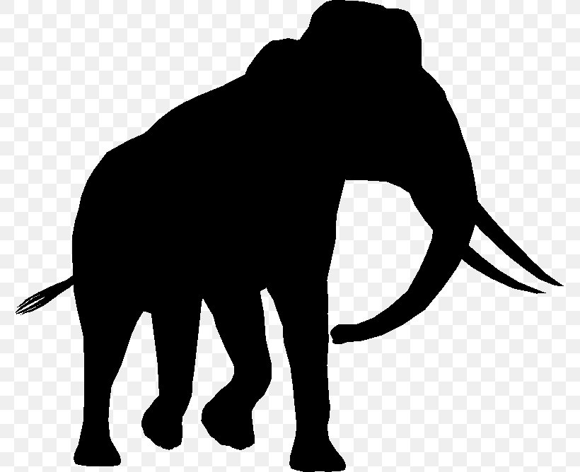 Indian Elephant African Elephant Cat Mammal Terrestrial Animal, PNG, 775x668px, Indian Elephant, African Elephant, Animal, Big Cat, Black M Download Free