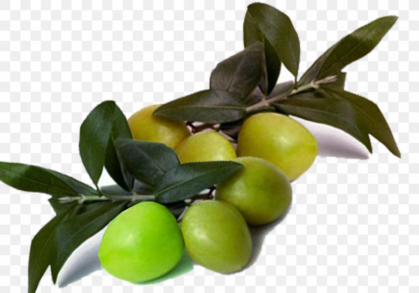 Olive Branch Olive Oil Lime, PNG, 1000x700px, Olive, Branch, Citrus, Food, Fruit Download Free