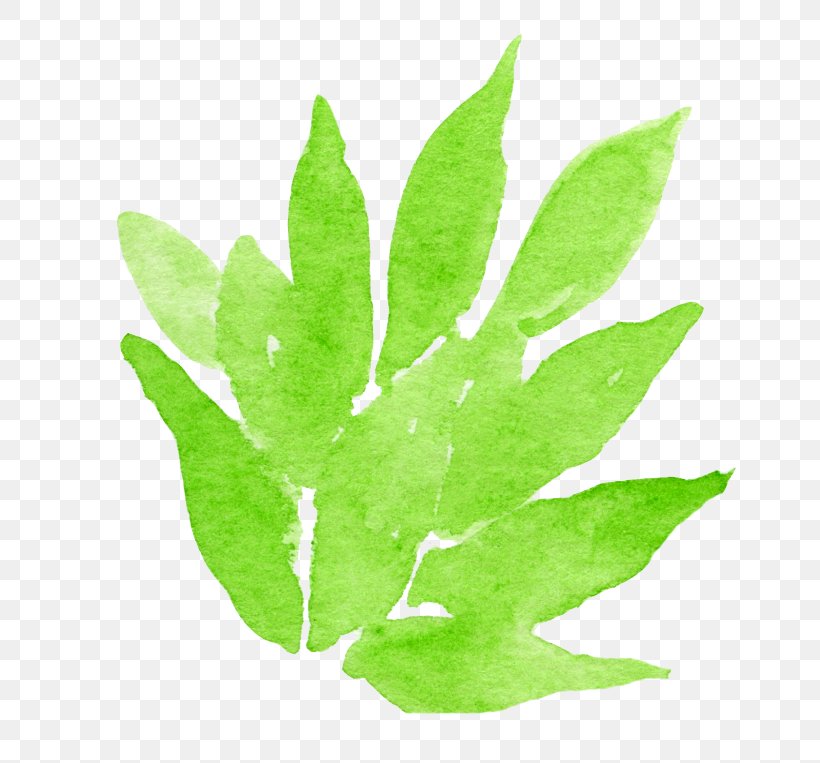 Watercolor: Flowers Watercolour Flowers Watercolor Painting Leaf, PNG, 696x763px, Watercolor Flowers, Google Images, Grass, Green, Ink Download Free