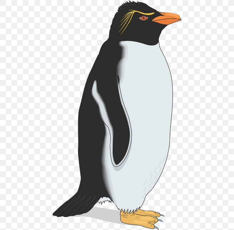 Gentoo Penguin Emperor Penguin Southern Rockhopper Penguin, PNG, 452x805px, Penguin, Antarctic Penguins, Beak, Bird, Emperor Penguin Download Free