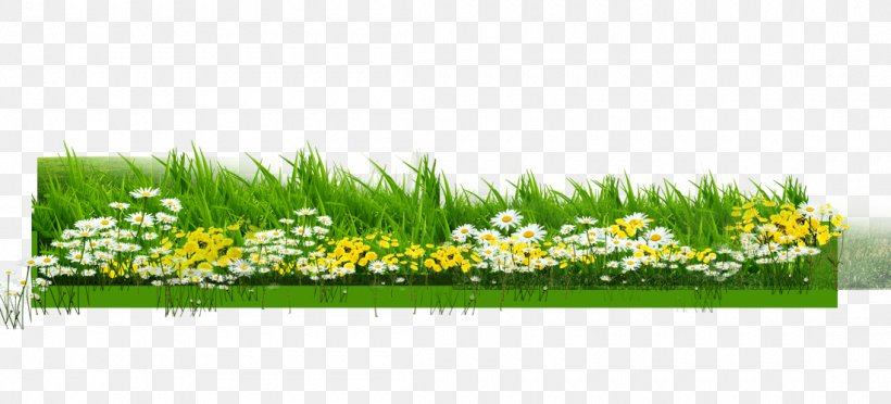 Meadow Green Lawn Computer File, PNG, 1100x500px, Meadow, City, Designer, Field, Flower Download Free