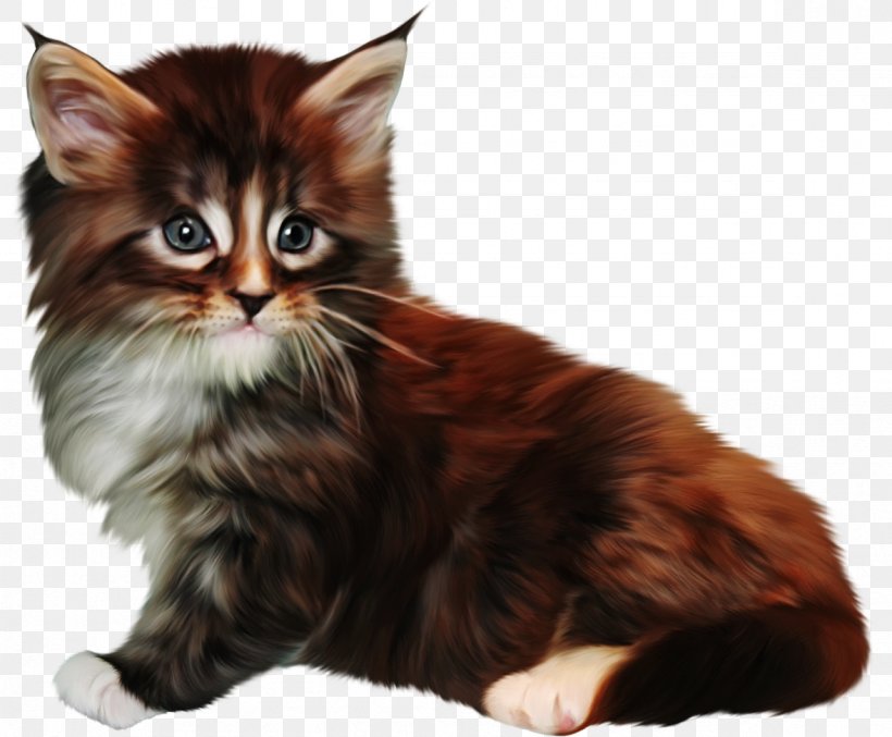 Norwegian Forest Cat Kurilian Bobtail Asian Semi-longhair Maine Coon Cymric Cat, PNG, 1178x973px, Norwegian Forest Cat, Animal, Asian Semi Longhair, Asian Semilonghair, Black Cat Download Free