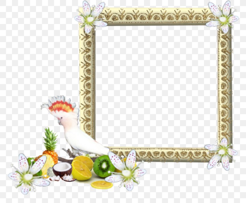 Picture Frames, PNG, 800x676px, Picture Frames, Bird, Border, Chicken, Flora Download Free