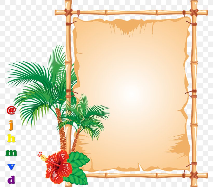Picture Frames Vector Graphics Clip Art Illustration Image, PNG, 781x720px, Picture Frames, Bamboo, Decorative Arts, Palm Tree, Picture Frame Download Free