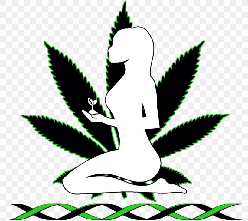 Cannabis Sativa Tetrahydrocannabinol Smoking Marijuana, PNG, 1024x913px, Cannabis, Artwork, Beak, Black And White, Cannabinol Download Free