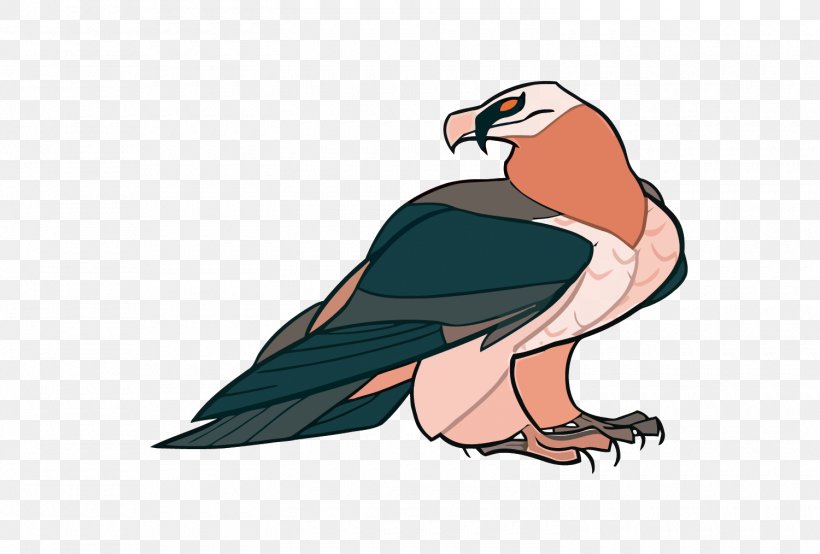 Drawing Cartoon Bearded Vulture Illustration, PNG, 1500x1014px, Drawing, Animation, Art, Beak, Bearded Vulture Download Free