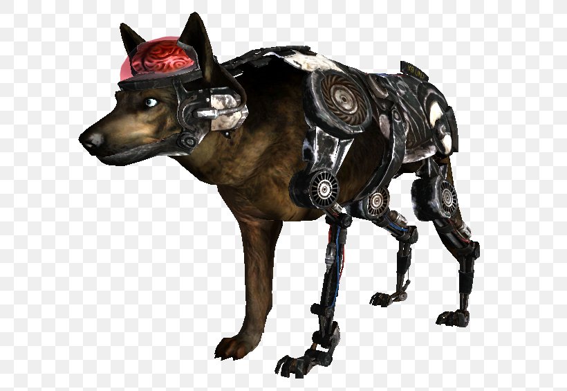 Fallout: New Vegas Fallout 3 Dog Fallout 2, PNG, 628x565px, Fallout New Vegas, Carnivoran, Companion Dog, Dog, Dog Breed Download Free
