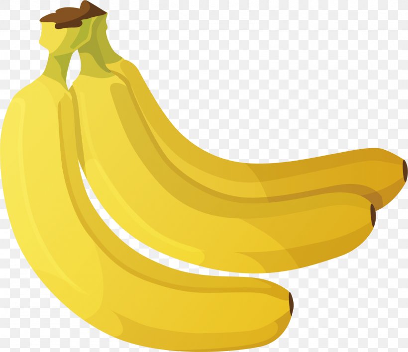 Vegetarian Cuisine Fruit Banana Vector Graphics, PNG, 1601x1383px, Vegetarian Cuisine, Banan, Banana, Banana Family, Cashew Download Free