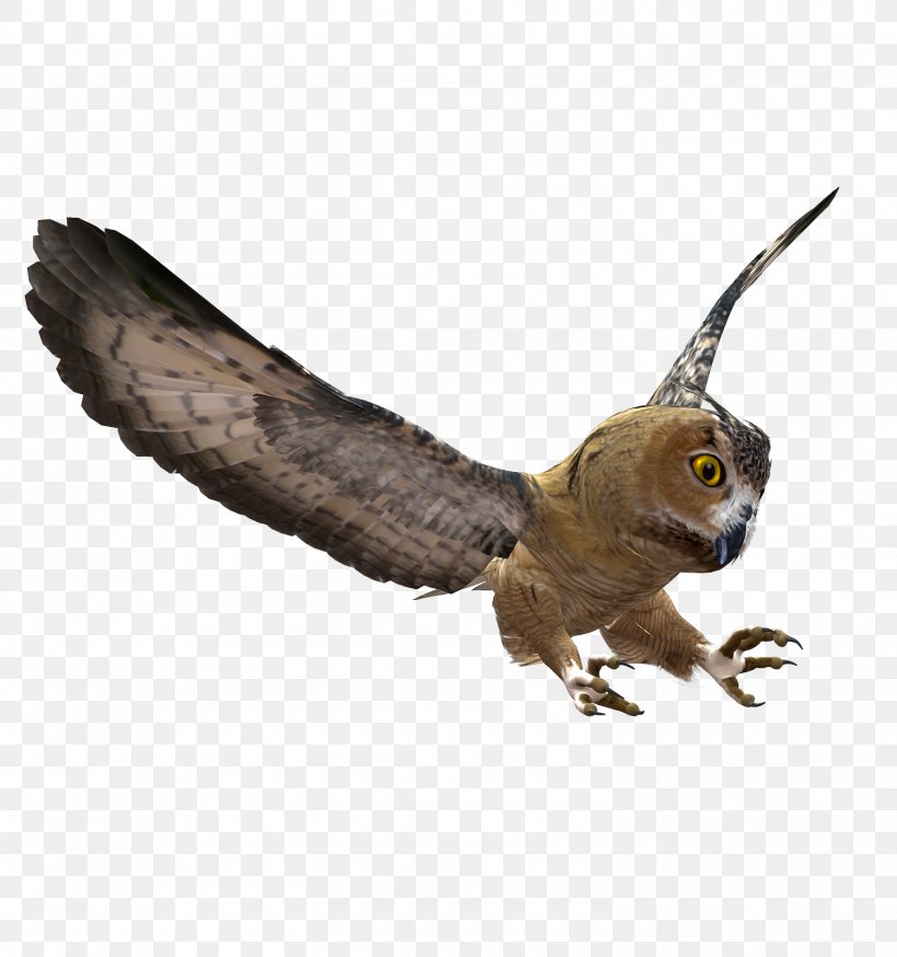 Bird Owl Blog Clip Art, PNG, 1500x1600px, Bird, Advent, Animal, Beak, Bird Of Prey Download Free