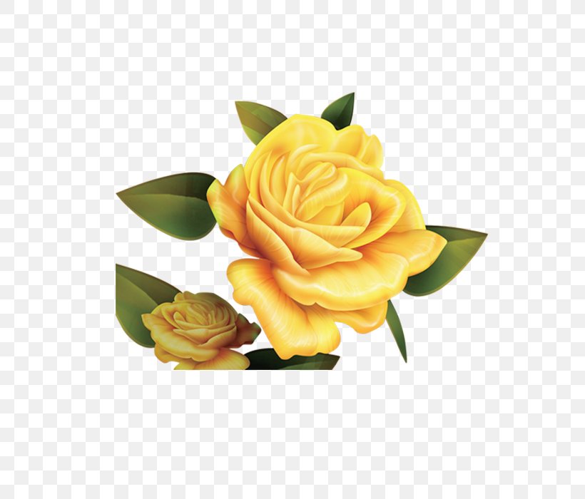 Garden Roses Paper Beach Rose Yellow Parchment, PNG, 700x700px, Garden Roses, Beach Rose, Cardboard, Cut Flowers, Floral Design Download Free