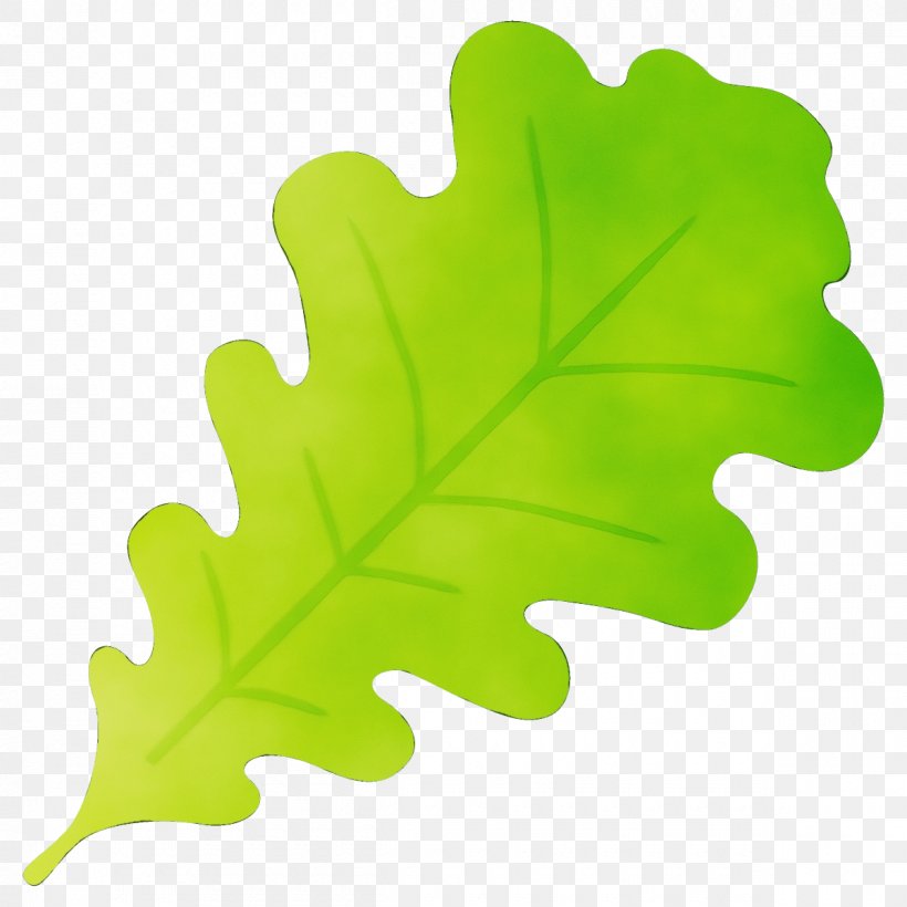 Maple Leaf, PNG, 1200x1200px, Watercolor, Black Maple, Flowering Plant, Green, Leaf Download Free