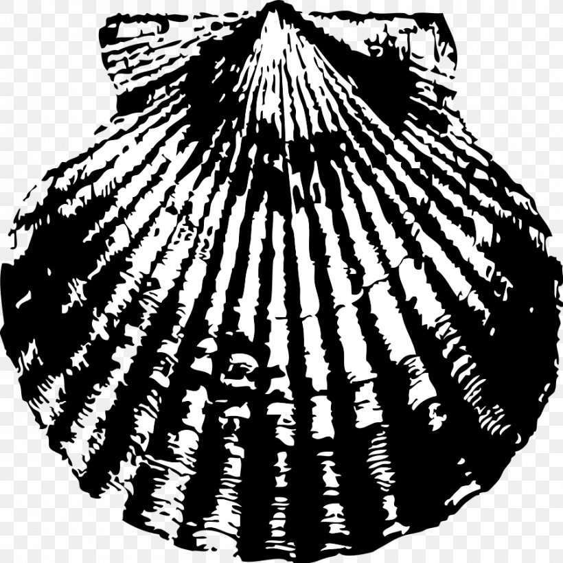 Clam Seashell Scallop Clip Art, PNG, 900x900px, Clam, Black And White, Clams Oysters Mussels And Scallops, Cockle, Conchology Download Free