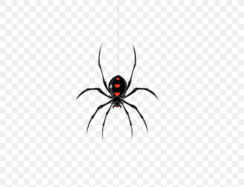 Jacksonville Widow Spiders, PNG, 501x627px, Jacksonville, Arachnid, Arthropod, Black Widow, Fear Download Free