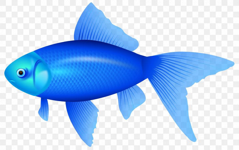 The Blue Fish Clip Art, PNG, 1680x1058px, Fish, Blog, Blue, Blue Fish, Bony Fish Download Free