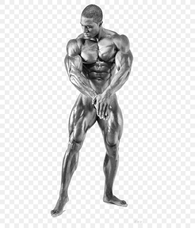 Bodybuilding.com Physical Fitness Human Body Athlete, PNG, 640x960px, Watercolor, Cartoon, Flower, Frame, Heart Download Free