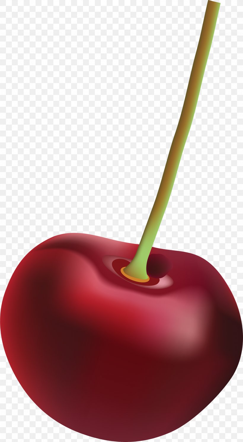 Cherry Red Graphic Design, PNG, 3001x5456px, Cherry, Apple, Branch, Bud, Designer Download Free