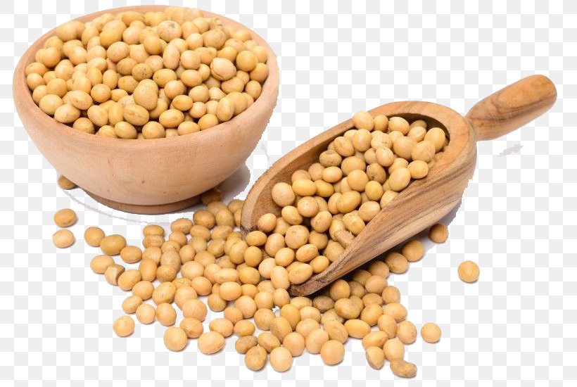 Genetically Modified Soybean Organic Food Legumes Soybean Meal, PNG, 800x550px, Soybean, Bean, Chickpea, Common Bean, Cuisine Download Free