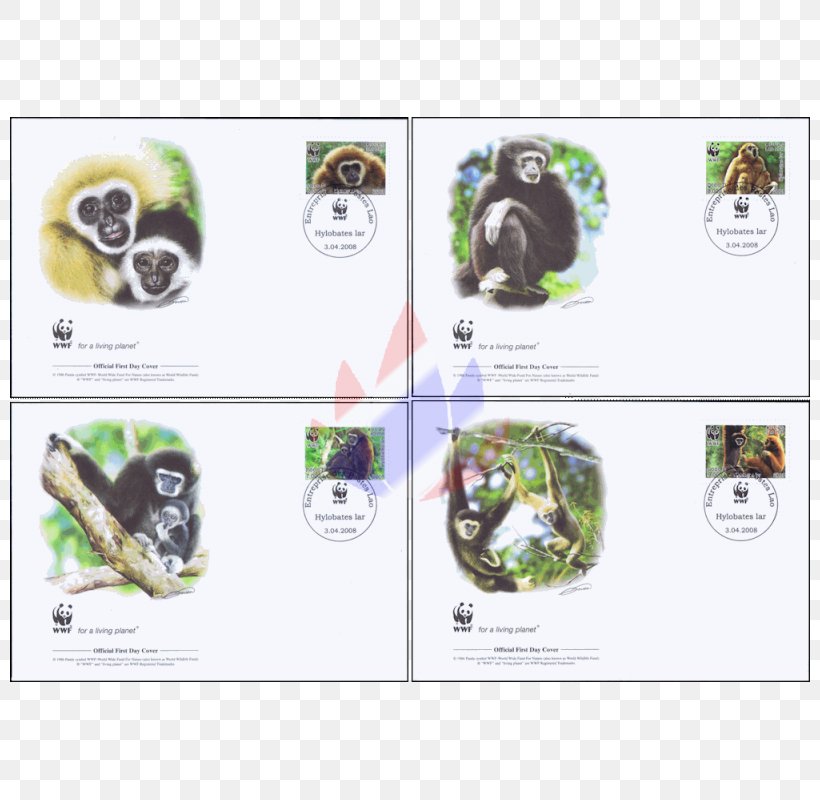 Graphic Design Shoe Animal, PNG, 800x800px, Shoe, Animal, Brand, Organism Download Free