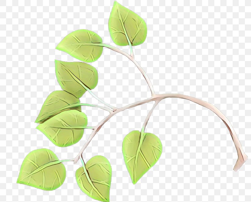Leaf Green Plant Branch Flower, PNG, 800x662px, Cartoon, Branch, Flower, Green, Leaf Download Free