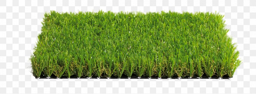 Artificial Turf Italgreen SpA Meadow Prato Price, PNG, 1170x430px, Artificial Turf, Commodity, Discount Shop, Evergreen, Grass Download Free