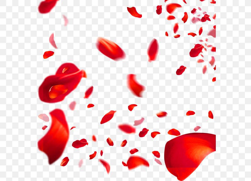 Beach Rose Petal Red Flower, PNG, 591x591px, Beach Rose, Flower, Heart, Love, Petal Download Free
