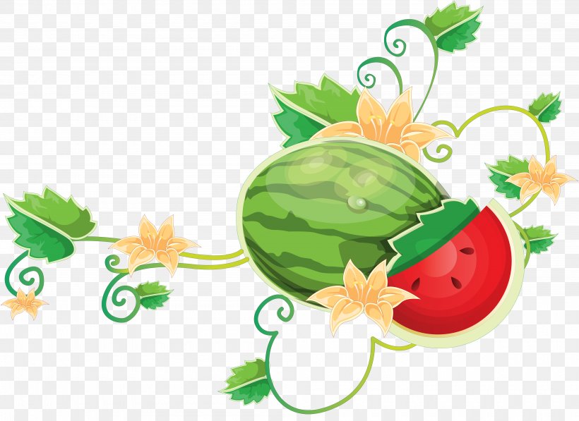 Common Grape Vine Watermelon, PNG, 4000x2916px, Common Grape Vine, Citrullus, Cucumber Gourd And Melon Family, Diet Food, Flower Download Free