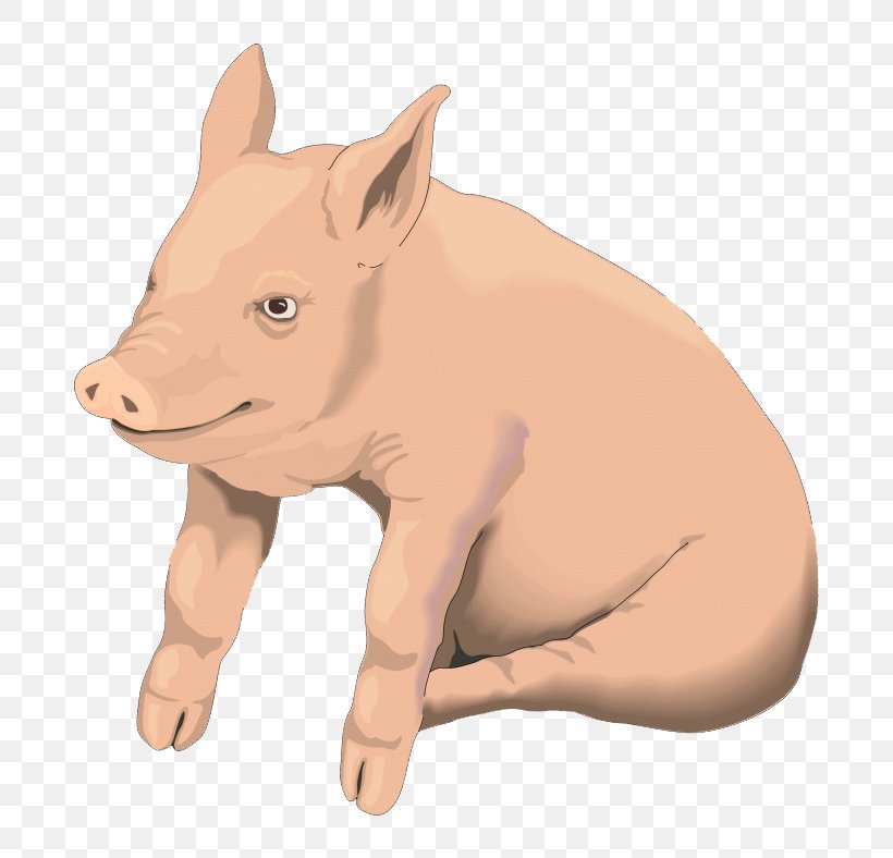 Domestic Pig Pig Roast Clip Art, PNG, 760x788px, Domestic Pig, Cartoon, Cattle Like Mammal, Fauna, Finger Download Free