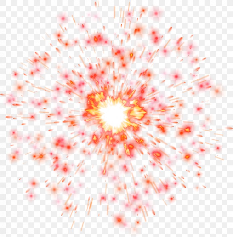 Firecracker Fireworks New Year, PNG, 876x888px, Fireworks, Computer Font, Explosion, Flame, Flower Download Free