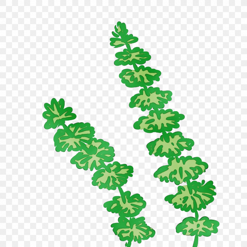 Leaf Line Plants Plant Structure Biology, PNG, 1200x1200px, Watercolor, Biology, Leaf, Line, Paint Download Free