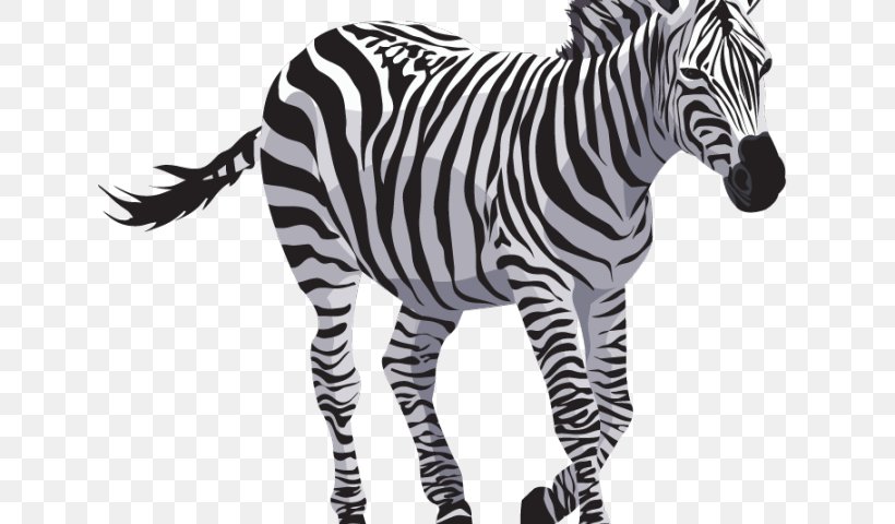 Zebra Clip Art Image Quagga, PNG, 640x480px, Zebra, Animal, Animal Figure, Blackandwhite, Fur Download Free