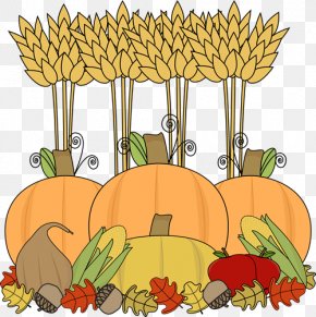 Turkey Thanksgiving Cornucopia Clip Art, PNG, 4759x4327px, Turkey, Beak ...